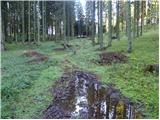 Ledine - Planina Klom